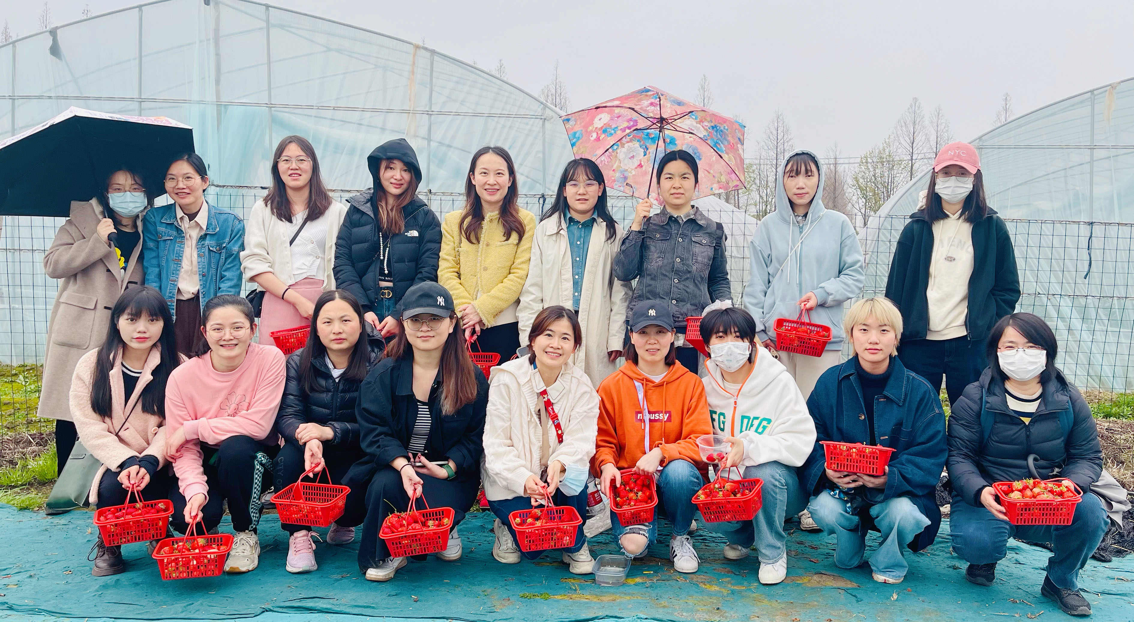 中茶拍公司開(kāi)展“慶三八”草莓采摘活動(dòng)